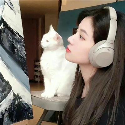 生命没有归处