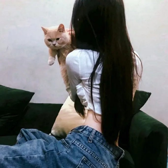 向阳的日子